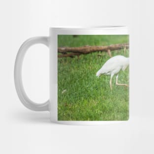 Walking Cattle Egret Mug